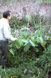 Select an image to enlarge