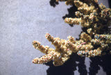 Select an image to enlarge