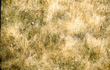 Select an image to enlarge