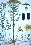 Select an image to enlarge