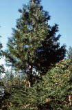 Select an image to enlarge