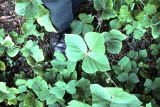 Select an image to enlarge