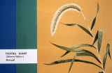 Select an image to enlarge