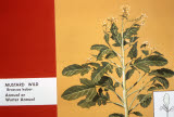 Select an image to enlarge