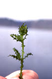 Select an image to enlarge