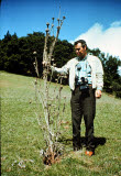 Select an image to enlarge