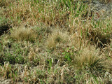 Select an image to enlarge