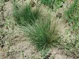 Select an image to enlarge