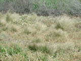 Select an image to enlarge