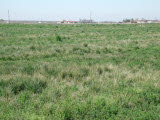 Select an image to enlarge