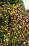 Select an image to enlarge