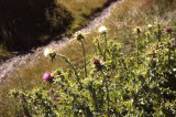 Select an image to enlarge