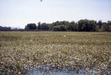 Select an image to enlarge