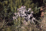 Select an image to enlarge