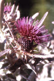 Select an image to enlarge