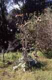 Select an image to enlarge