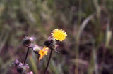 Select an image to enlarge