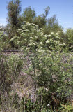 Select an image to enlarge