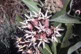 Select an image to enlarge