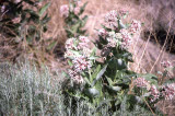 Select an image to enlarge