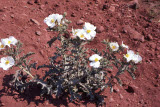 Select an image to enlarge