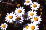 Select an image to enlarge