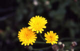 Select an image to enlarge