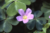 Select an image to enlarge