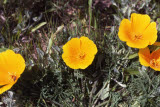 Select an image to enlarge