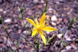 Select an image to enlarge