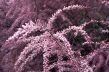 Select an image to enlarge