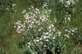 Select an image to enlarge