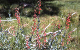 Select an image to enlarge
