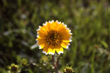 Select an image to enlarge