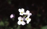 Select an image to enlarge