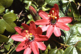 Select an image to enlarge