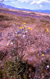 Select an image to enlarge