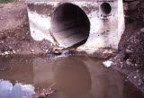 Select an image to enlarge