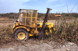 Select an image to enlarge