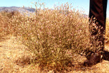 Select an image to enlarge