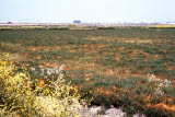 Select an image to enlarge