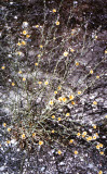 Select an image to enlarge