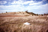 Select an image to enlarge