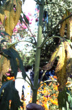 Select an image to enlarge