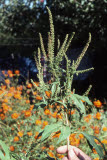 Select an image to enlarge