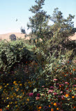 Select an image to enlarge