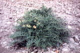 Select an image to enlarge