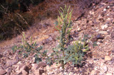 Select an image to enlarge