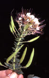 Select an image to enlarge
