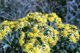 Select an image to enlarge